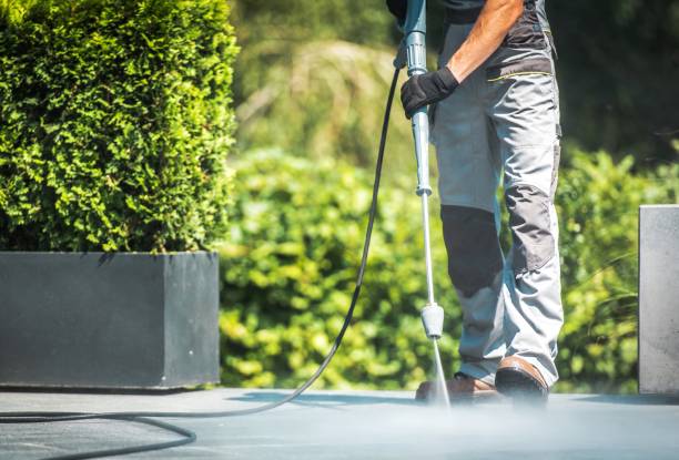 Best Driveway Pressure Washing  in La Huerta, NM